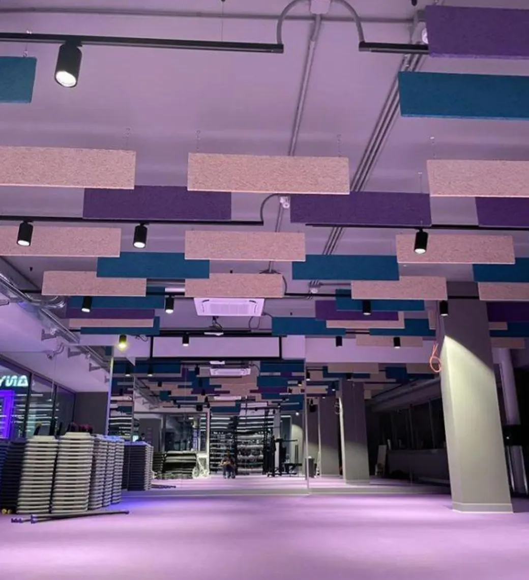 Costruzione, progettazione e realizzazione del franchising di palestre Anytime Fitness a Roma Fleming e Lorenzo il Magnifico.